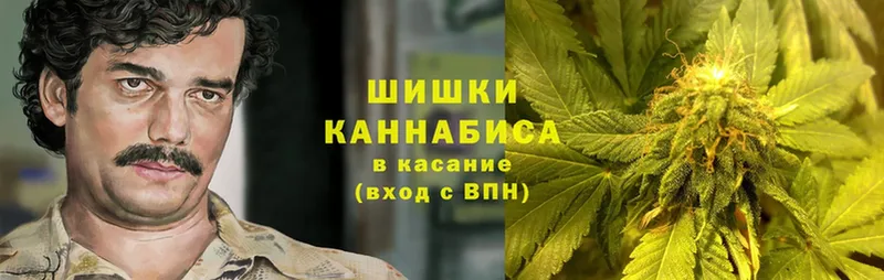 блэк спрут зеркало  купить  цена  Гагарин  Бошки Шишки OG Kush 